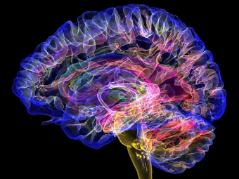 色色堂x脱光干x大脑植入物有助于严重头部损伤恢复